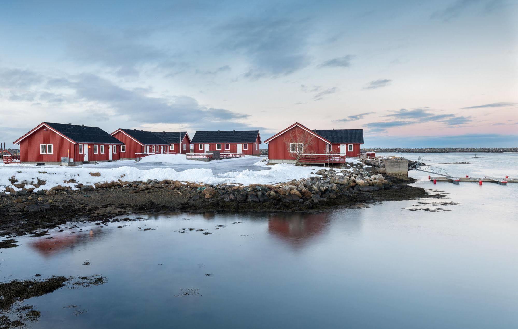 Lankanholmen Sea Cabins Andenes Ngoại thất bức ảnh